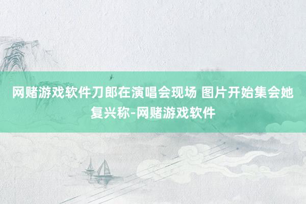 网赌游戏软件刀郎在演唱会现场 图片开始集会她复兴称-网赌游戏软件