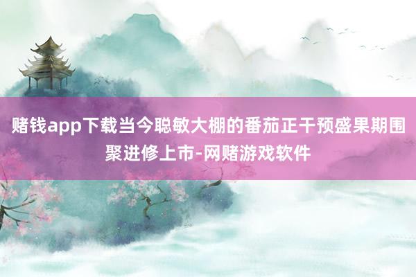 赌钱app下载当今聪敏大棚的番茄正干预盛果期围聚进修上市-网赌游戏软件